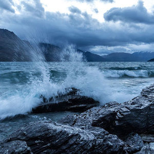 Meet your Posher, ̊ʚ pillowfluff ɞ ̊